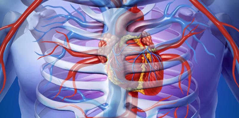 Kalp Kapağı Kireçlenmesi Belirtileri ve Tedavisi